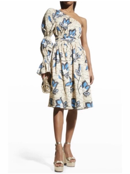 Autumn Adeigbo Dresses & Skirts - Autumn Adeigbo Cream and Blue Floral One-Shoulder Midi Dress